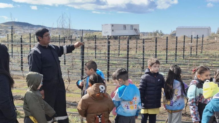Punto Orgánico recibió a los niños del Jardín N.º 20 “Aiken” con una propuesta educativa al aire libre